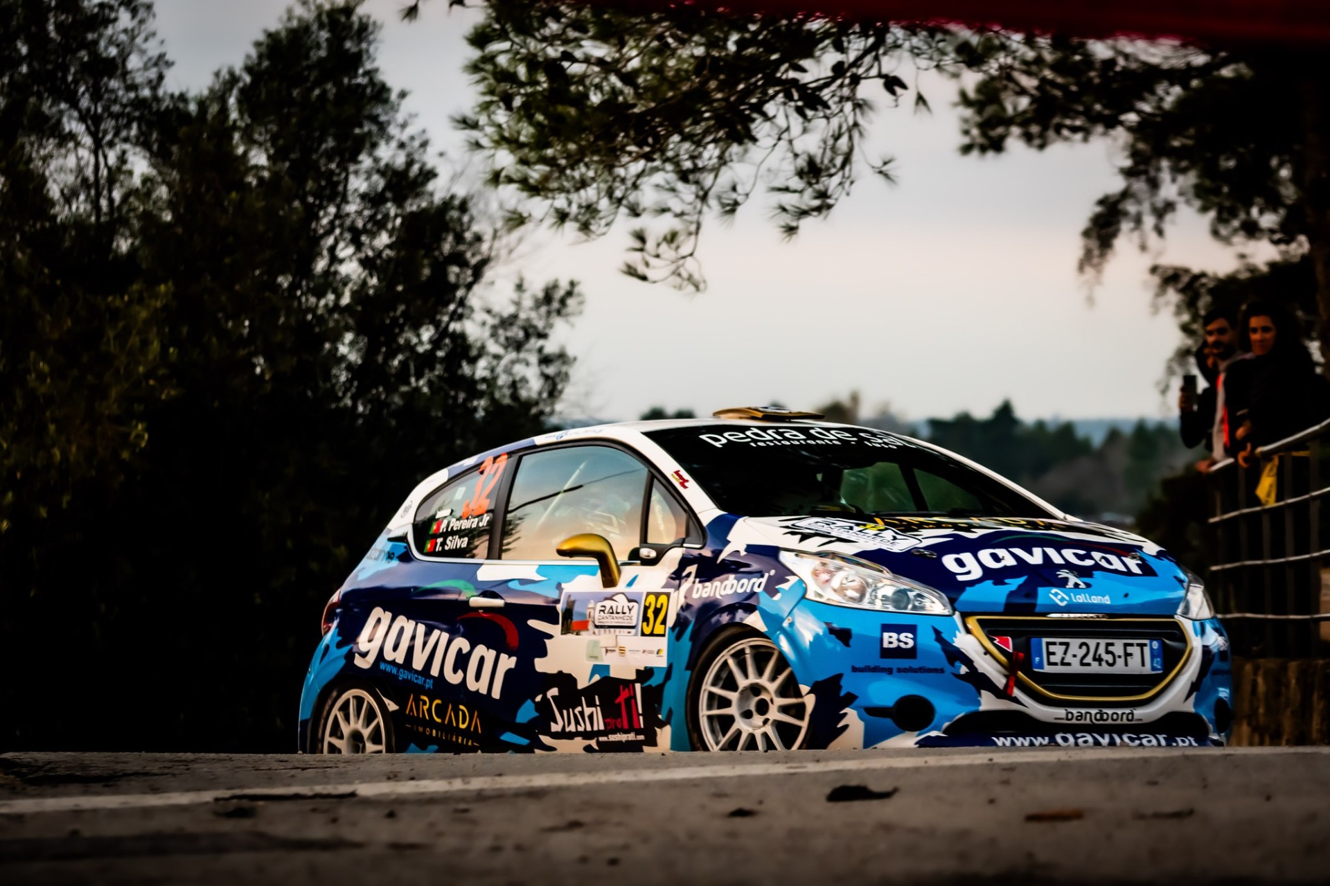 Pedro Pereira / Tiago Silva em Peugeot 208 VTI