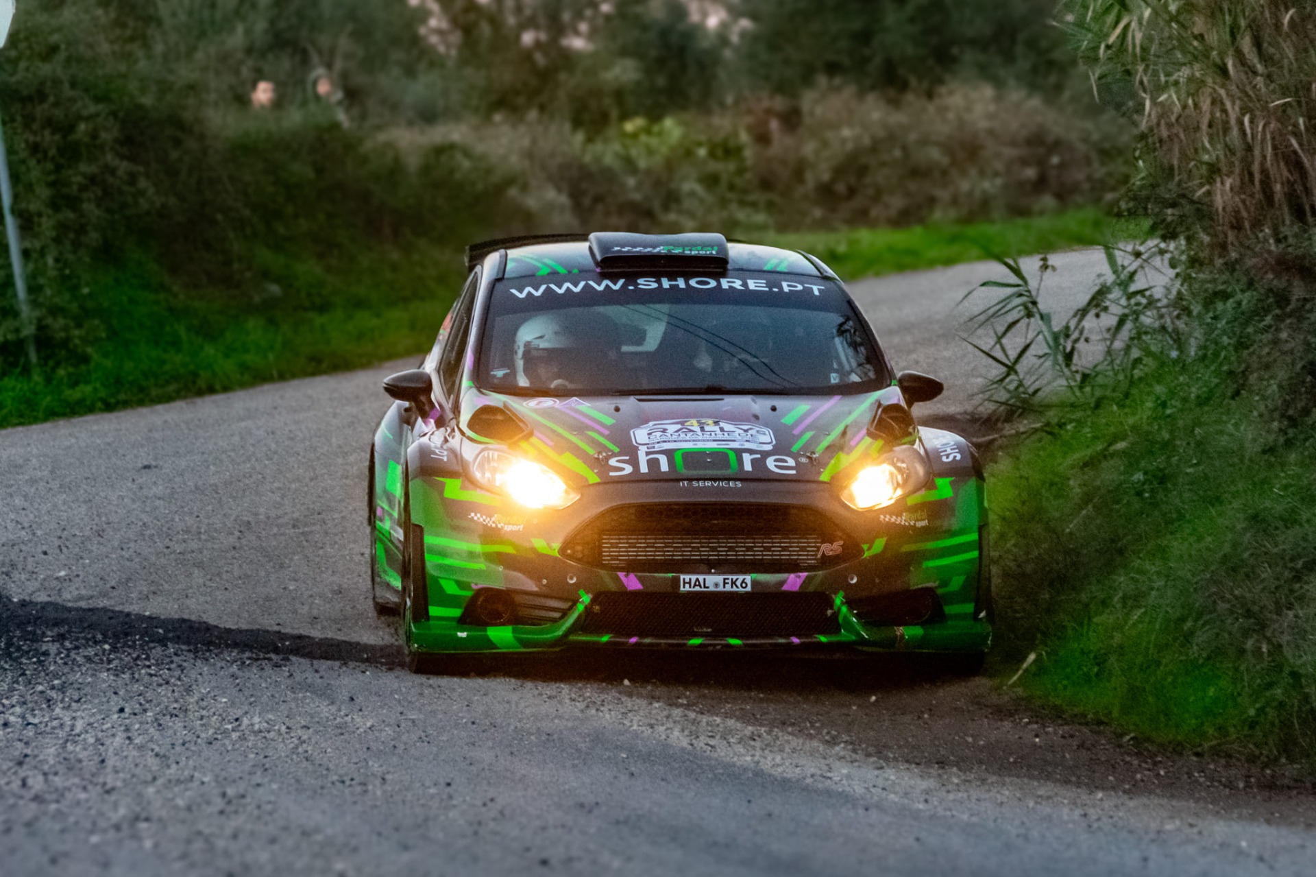 André Cabeças / Miguel Castro em Ford Fiesta R5